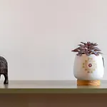 דירה Colorful Comfy
